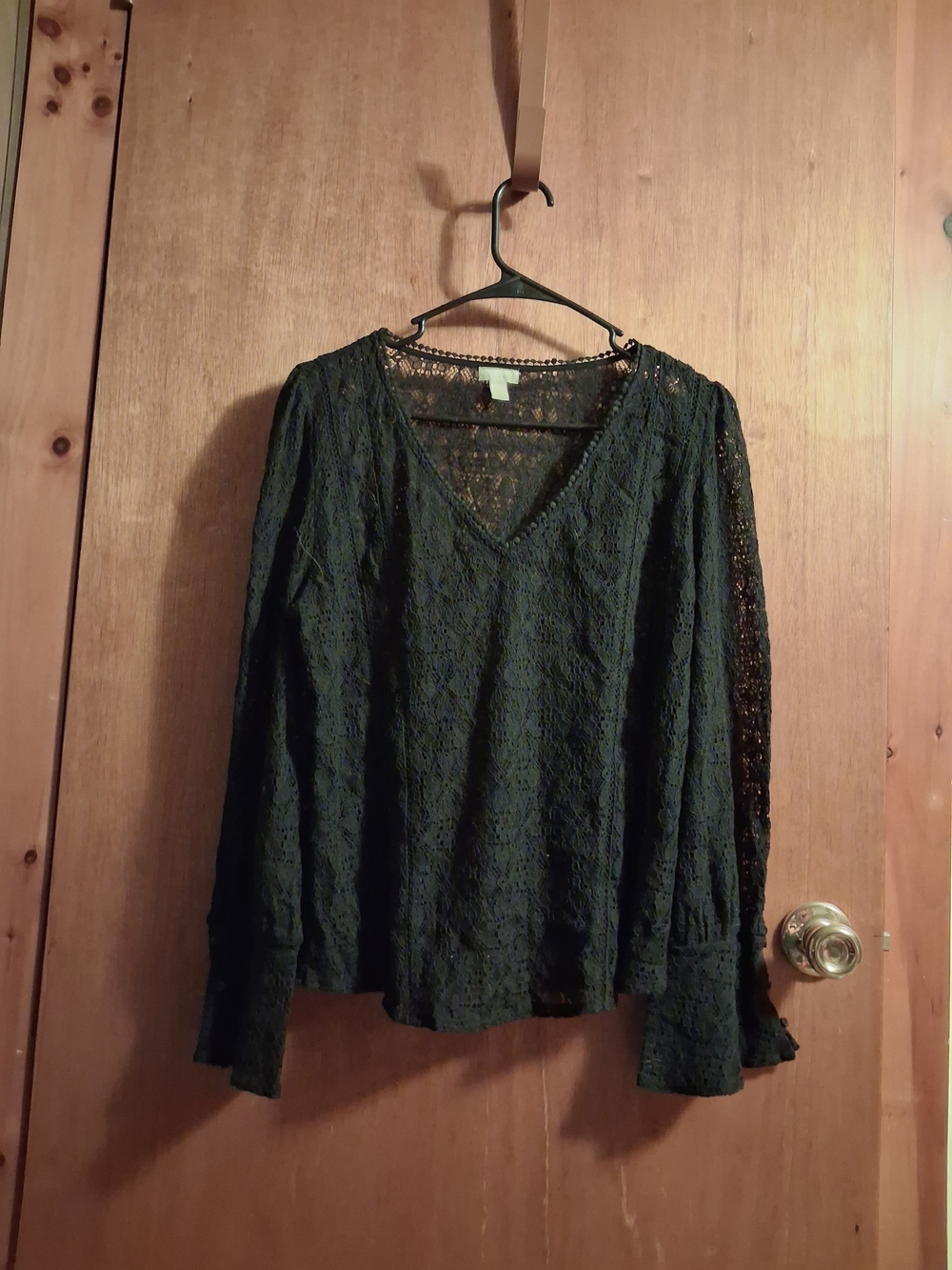 hinge Dark Green Lace V-Neck Long Sleeve Top